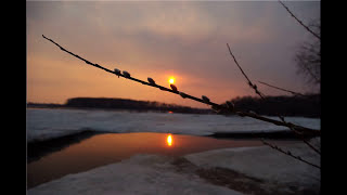 Классный час. Ю. Борисенко