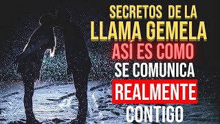 Secretos de la LLAMA GAMELA  Así es como se Comunica realmente Contigo!