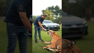 Bengal Tiger Drinking Water From Bottle | Nouman Hassan