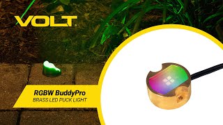 VOLT® RGBW BuddyPro™ Brass LED Puck Light | What's In The Box?