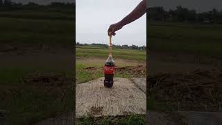 Experiment Coca Cola Vs Mentos ll Shorts