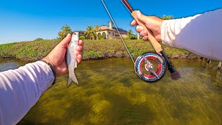 Whatever It Takes to Catch Fish in Crystal Clear Water!