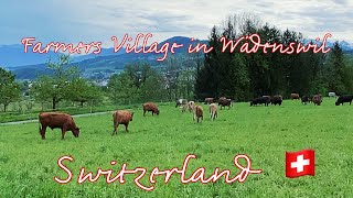 THE RICH FARMERS IN WÄDENSWIL | BEAUTIFUL FARMERS AREA | SWITZERLAND 🇨🇭 4K 60FPS