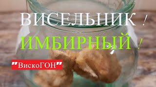 👍 Полезная Настойка -  Висельник на Имбире ! Хрустальная на Корне Имбиря !