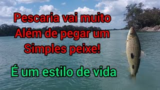 PESCA DE PIAU NO RIO SÃO FRANCISCO,    O CARDUME ENCOSTOU!