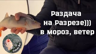 Экстремальная рыбалка.Окунь  В метель, мороз и глухозимье. безмотылка 2024