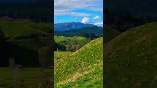 Beautiful valley 😍 #newzealand #shorts