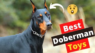 8 Best Dog Toys For Doberman Pinschers | Which one is Best for YOU?