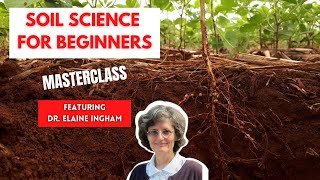 How to Build Great Soil - A Soil Science Masterclass with Dr. Elaine Ingham (Part 4 of 4)