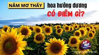 Mơ thấy hoa hướng dương là điềm báo gì? | Asianbetting.net