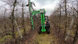 Piła Konturowa Libra / Cięcie sadu/ Orchard Pruning/ Piła do cięcia / Dom-Wid/ Orchard saw/