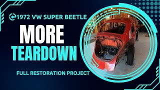 Super Beetle Barn Find Restoration Project Teardown Continues