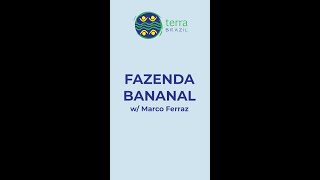 Voyage Brésil : Expérience Fazenda Bananal, Paraty