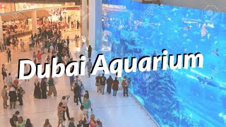 Dubai Aquarium and World's largest OLED screen | Dubai Mall | #shorts