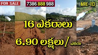 16 Acres || Red Soil Land for sale in Kanigiri ||6.90 Lakhs || 7386888988 || MRE - 113 ||#MadhavTv||