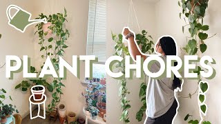 Plant vlog | potting new plants, propagations, + cleaning leaves