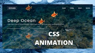 How to create animated website using CSS And  HTML