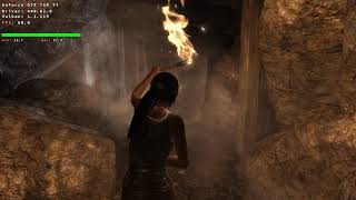 Devuan Gaming | Tomb Raider