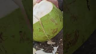 Green coconut cutting skills. #shorts #coconut #short #viralvideo