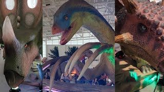 FREE | MOST REALISTIC DINOSAUR SHOW TO ENJOY  #asmr #enjoy #entertainment