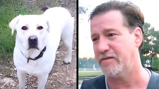 Veteran Discovers His Service Dog Was Given Away. The Details Are Outrageous