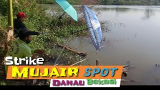 Strike Mujair Spot Danau Bekasi