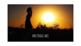 picnic at mozingo | Courtney