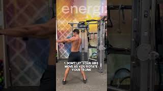 How To Properly Perform Cable Rope Trunk Rotations With Good Form (Exercise Demonstration)