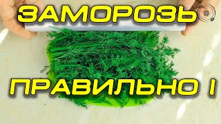 Заморозка зелени на зиму. Это быстрее и проще чем ты думаешь!