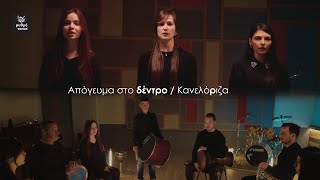 Απόγευμα στο δέντρο - Κανελόριζα (cover)  Percussions & Voices