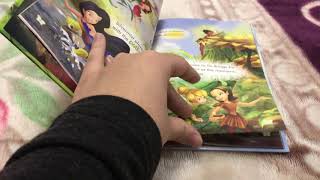 Disney Fairies: Tinkerbell and The Great Fairy Rescue Book