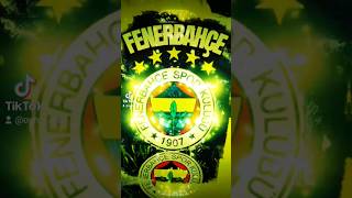 🔅 Bu Sevda Kaçmaz & 🏆Fenerbahce SK🏆 Çok Yaşa.. @ogharts @fenerbahce #video #reels #shorts #fb (💙💛)