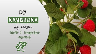 Листья клубники из холодного фарфора. Тонировка