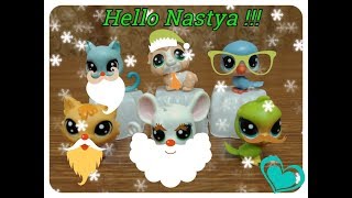 Сюрпризы Игрушки Питомцы от Хасбро Май литл пет Хасбро Hasbro My littlest pet shop