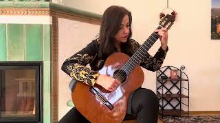 Fingerstyle Guitar Nr. 19 - Dieter Kreidler (played by Lucia Egger-Kutschmann)