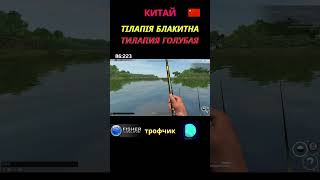 Fisher Online - Китай Тілапія Блакитна (Тилапия Голубая) троф