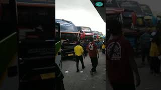 Bus Pariwisata||Bus Kupu-Kupu Ayu||Numpak Pisan Gawe Tuman||Pesona Wong Ngapak#Shorts