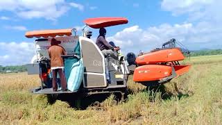 Mesin Panen Padi Paling Tercepat|| kubota DC 70 plus #384