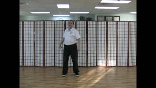 White Crane Qigong:  Flying Gong Visualization