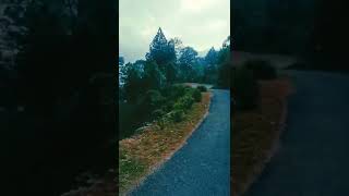 Awara | Nainital Uttarakhand #shorts #nature #nainital #travel #vlog #hills #forest #riding #Awara