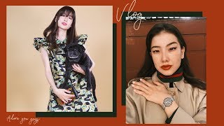 Vlog: 3 дня из моей жизни |Съёмка для Louis Vuitton с домашними животными, подарки, вечеринка