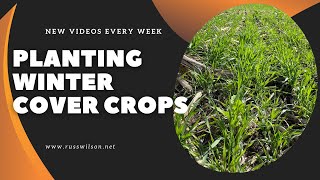 Planting winter cover-crops.