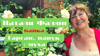 Наталя Фаліон (Лісапетний батальйон) - Тарган, павук і муха. БАЙКА