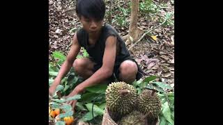 Survival skills | eating durian in the rainforest - eating delicious