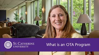 What is an OTA Program?