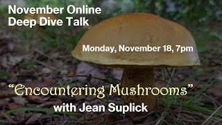 Blackland Prairie Chapter Deep Dive Mushrooms 101 with Jean Suplick