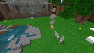 Minecraft Zoo THE Wolves exhibit!