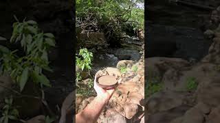 Nature-based relaxation journey #costarica  #youtubeshorts #shorts