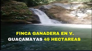 HERMOSA FINCA GANADERA EN V. GUACAMAYAS