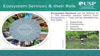 Session 2 Lecture 2 Ecosystem Services and their Role by Dr Antoine N'Yeurt